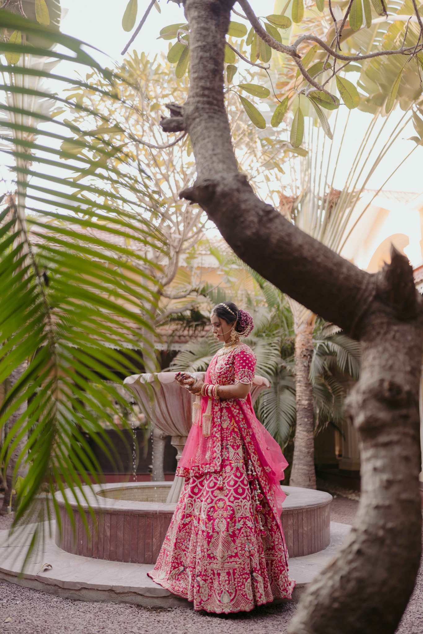 Dhwanit & Vishwa — wedding photograph