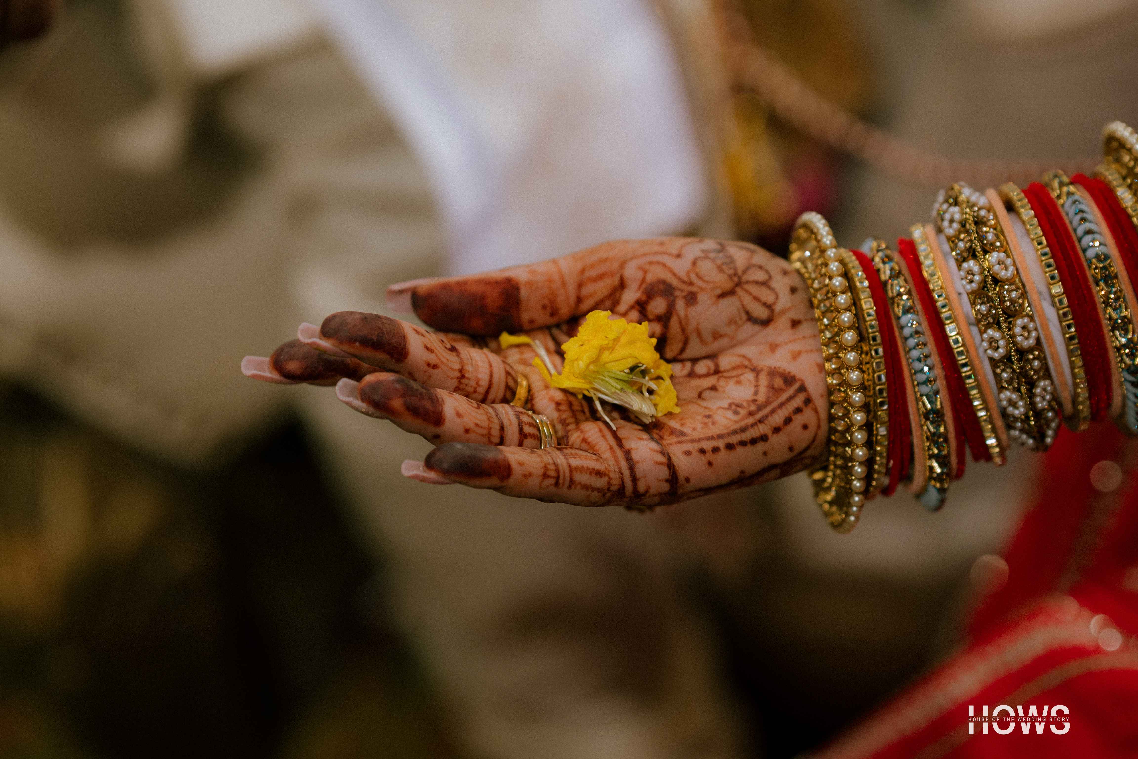 Parth & Radha — wedding photograph